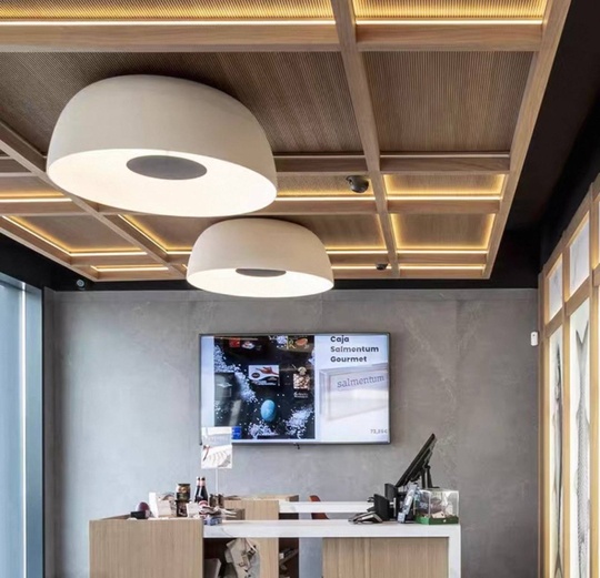 Потолочный светильник белый Elixura, металл, 40.2*14 см, светодиодная, LED