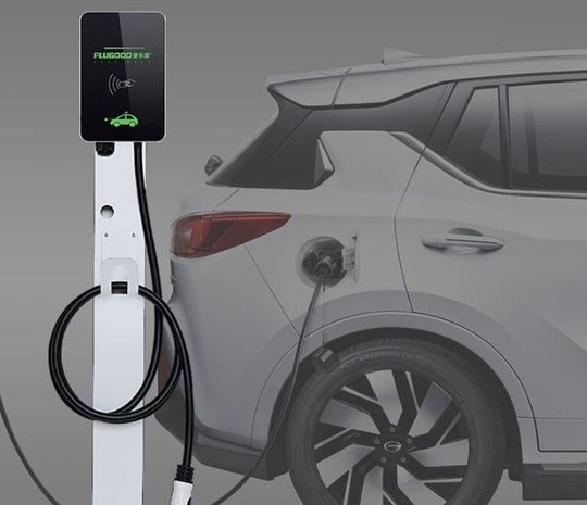 Зарядная Станция Procter