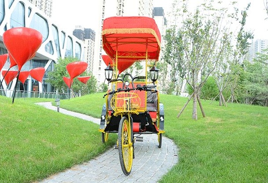 Электрорикша Карета