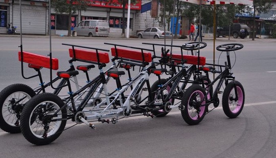 Велорикша Aerlyn 290*130*90 см, 600 кг, 8 место, 170 кг