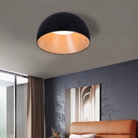 Потолочный светильник черный Elyrion, металл, 35*19 см, светодиодная, LED