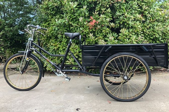 Велорикша Nanyang