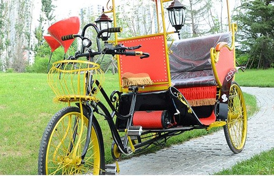 Электрорикша Карета