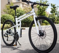 Городской Велосипед EROADE