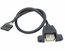 Кабель USB A - USB 2.0 10-pin M (0.3 м)