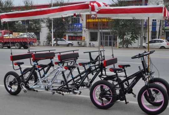 Велорикша Aerlyn 290*130*90 см, 600 кг, 8 место, 170 кг