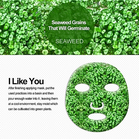 Маска для лица из семян водорослей
