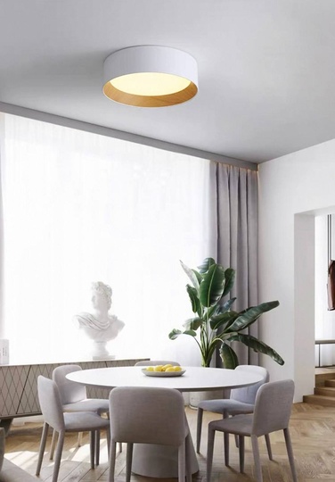 Потолочный светильник белый Elystran, металл, 46*13 см, светодиодная, LED