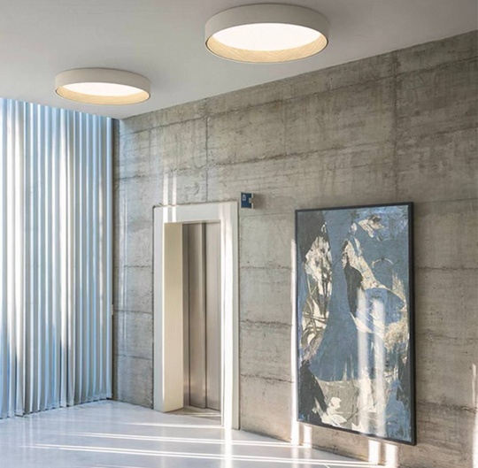 Потолочный светильник белый Elystran, металл, 46*13 см, светодиодная, LED