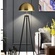 Торшер черный Arvion, 50*165 см, LED, Е27, металл, 14 Вт