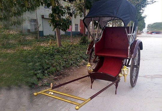 Велорикша Trike 170*120*80 см, максимальная нагрузка 220 кг, вес 130 кг, китайская сборка