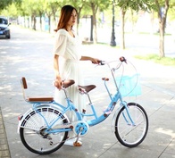 Велосипед Colorful Horse