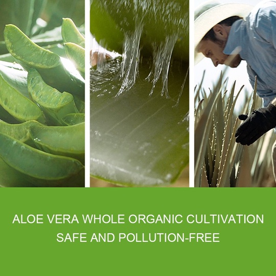 Универсальный гель из Алоэ от Rorec