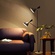 Торшер черный, золото Garden, 60*160 см, LED, 14*2, металл, 14 Вт